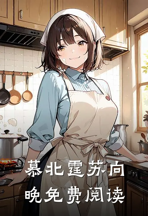 慕北霆苏向晚免费阅读