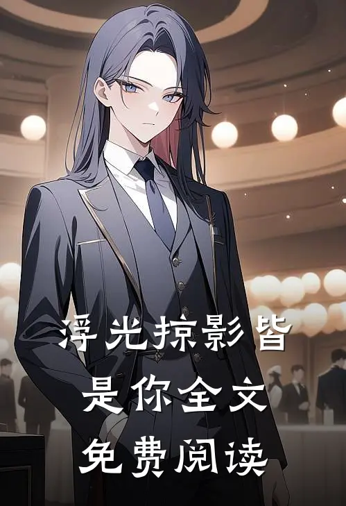 浮光掠影皆是你全文免费阅读