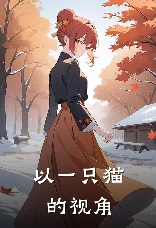 以一只猫的视角