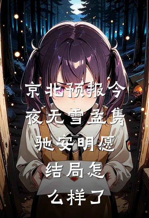 京北预报今夜无雪孟隽驰 安明愿,结局怎么样了